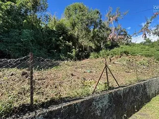 Terrain vente à La Réunion