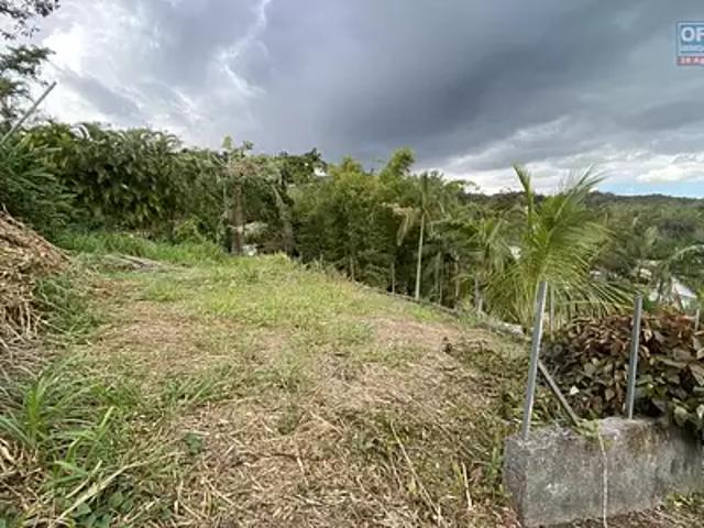 Terrain vente à La Réunion