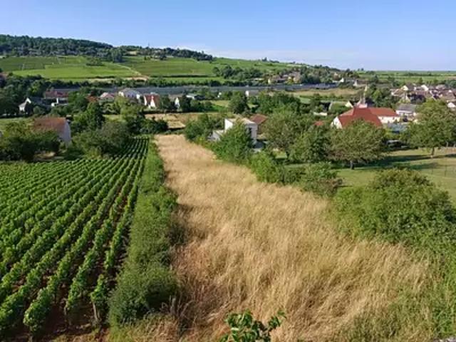 Terrain vente à Chalon-sur-Saône, Saint-désert