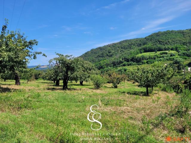 Terrain vente à Tournon-sur-Rhône, Saint-désirat