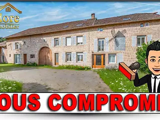 Maison vente à Saint-Dié-des-Vosges, Saint-dié