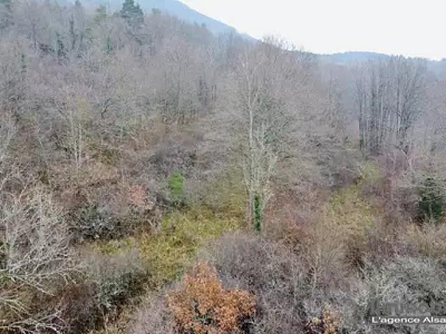 Terrain vente à Saint-Dié-des-Vosges, Saint-dié