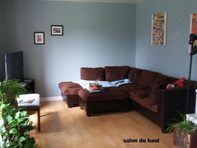 Apartment for rent in Saint-germain-de-grantham, Quebec