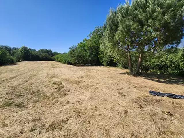 Terrain vente à Saint-Étienne-de-Brillouet, Vendée