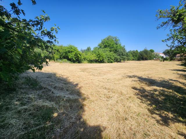 Terrain vente à Fontenay-le-Comte, Saint-etienne-de-brillouet