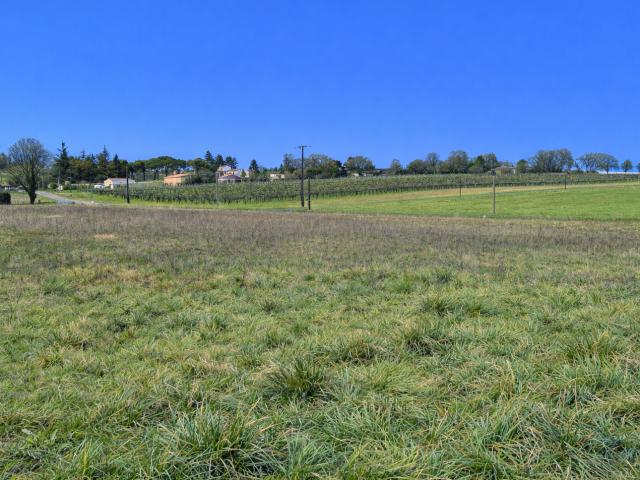 Terrain vente à Jonzac, Saint-eugène