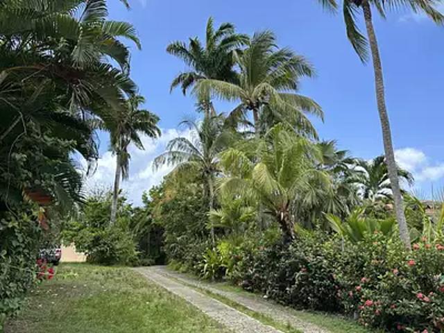 Appartement vente à Guadeloupe
