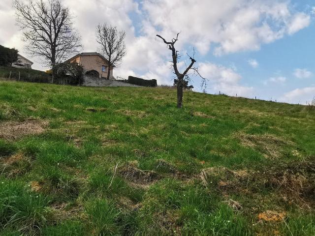 Terrain vente à Montbrison, Saint-galmier