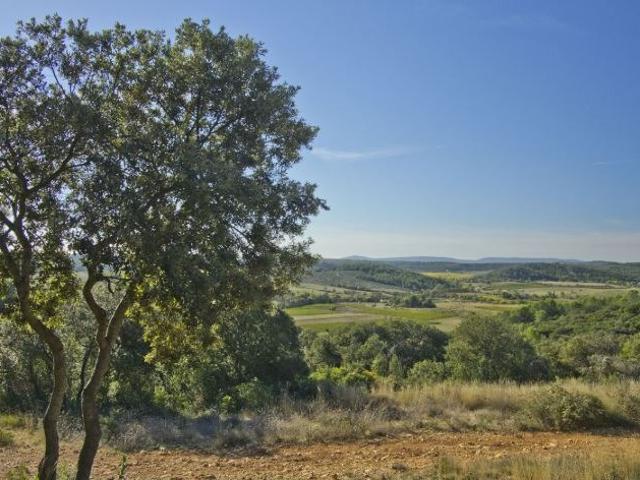 Terrain vente à Lodève, Saint-gély-du-fesc