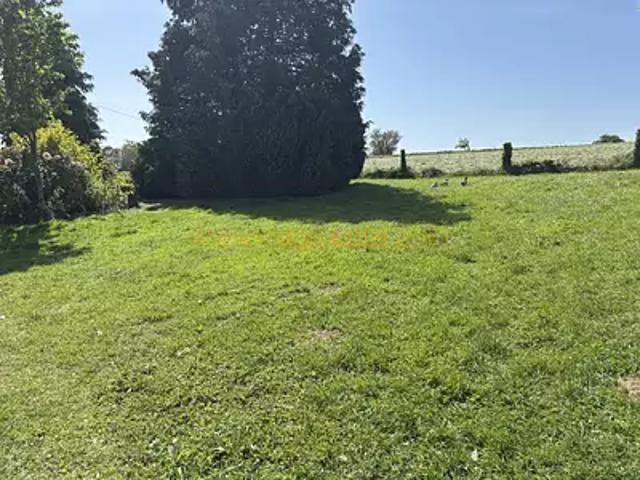 Appartement vente à Mayenne, Saint-georges-buttavent