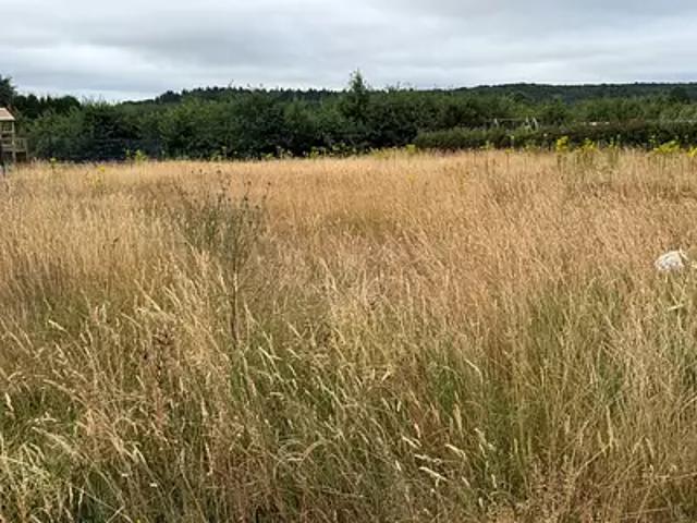 Terrain vente à Mayenne, Saint-georges-buttavent