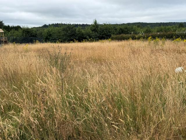 Terrain vente à Mayenne, Saint-georges-buttavent