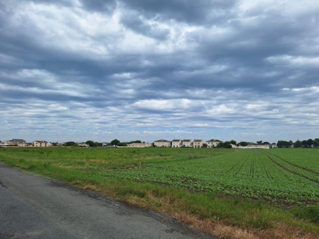 Terrain vente à Saint-georges-de-didonne