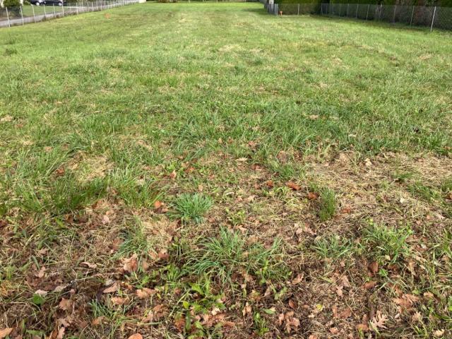 Terrain vente à France métropolitaine, Saint-georges-des-coteaux