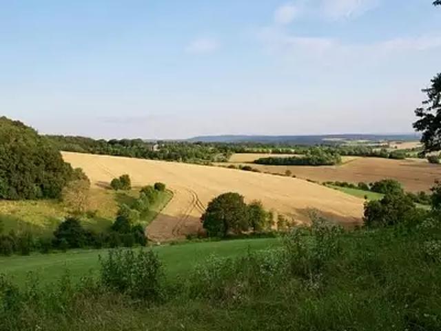 Terrain vente à Rochefort, Saint-georges-du-bois