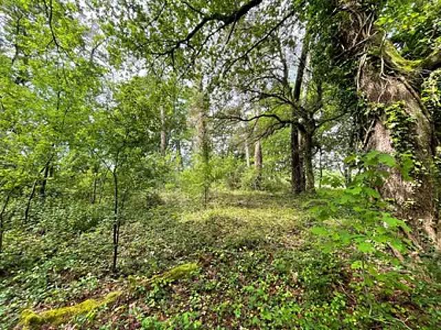 Terrain vente à Dax, Saint-geours-de-maremne