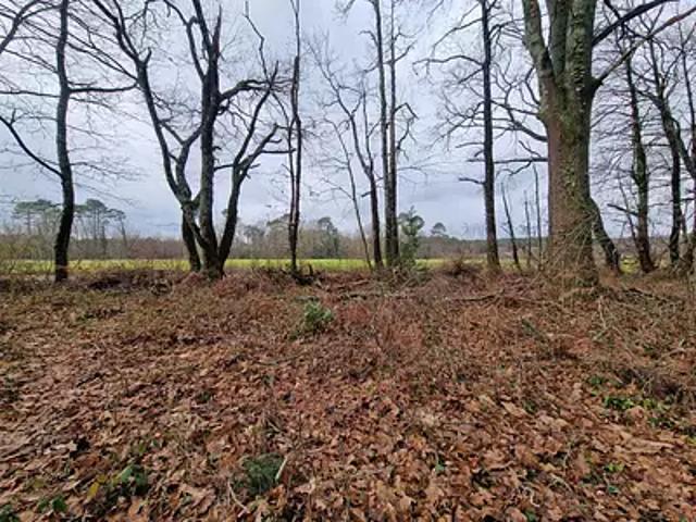 Terrain vente à Dax, Saint-geours-de-maremne