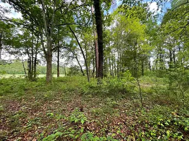 Terrain vente à Dax, Saint-geours-de-maremne