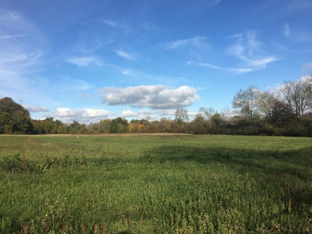 Terrain vente à Lesparre-Médoc, Saint-germain-d'esteuil
