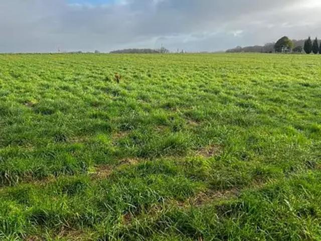 Terrain vente à France métropolitaine, Saint-germain-du-seudre