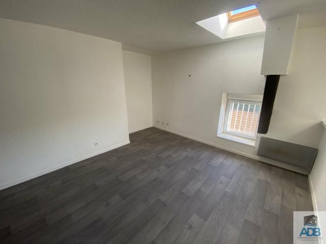 Appartement location à Roanne, Saint-germain-lespinasse