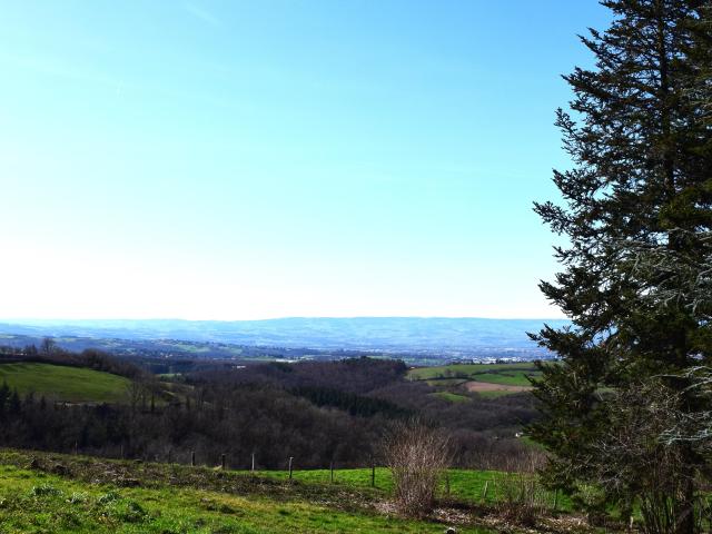 Terrain vente à Saint-Étienne, Saint-héand