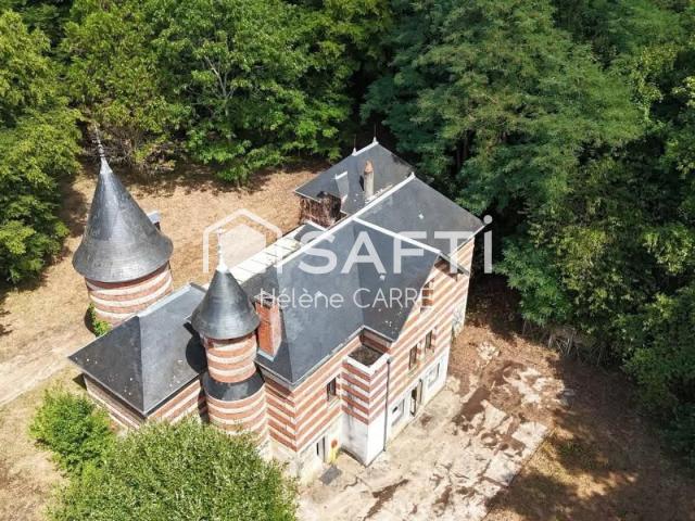 Château vente à Vierzon, Saint-hilaire-de-court