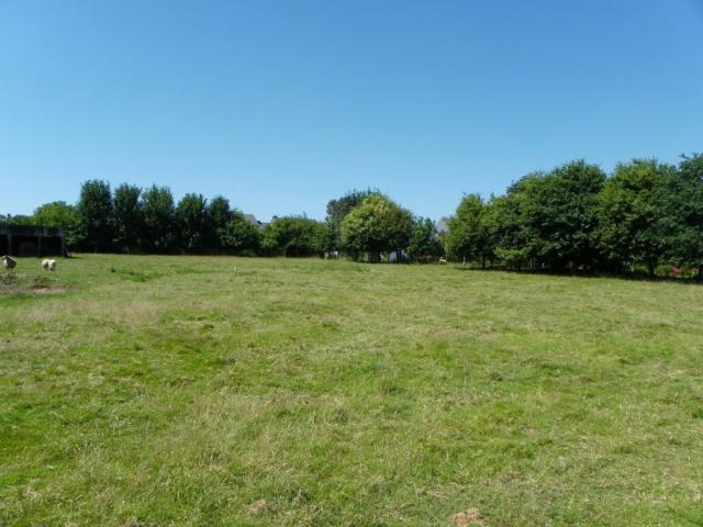 Terrain vente à Saint-hilaire-de-la-noaille