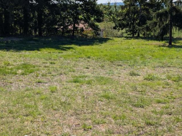 Terrain vente à France métropolitaine, Saint-hilaire-de-lusignan