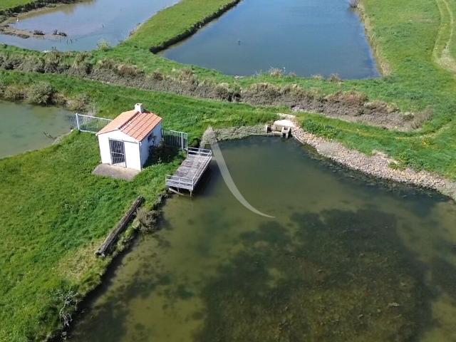 Terrain vente à Les Sables-d'Olonne, Saint-hilaire-de-riez