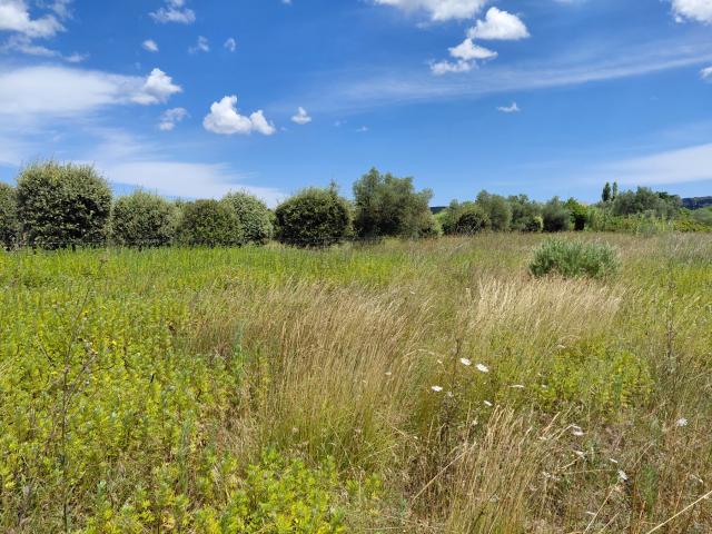 Terrain vente à Saint-Hilaire-d'Ozilhan, Gard