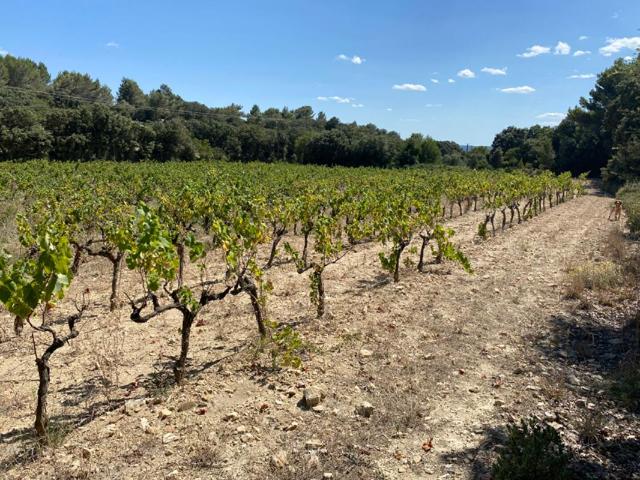 Terrain vente à Nîmes, Saint-hilaire-d'ozilhan