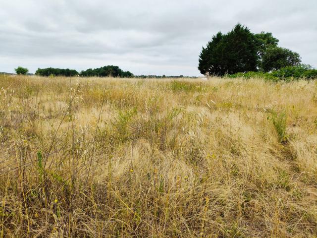 Terrain vente à Jonzac, Saint-hilaire-du-bois
