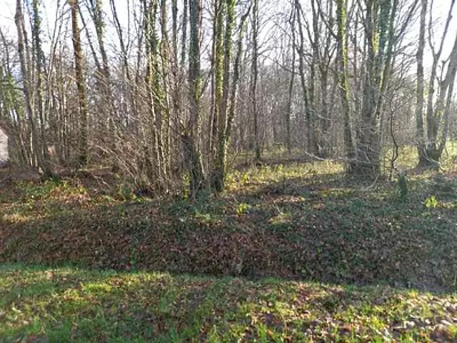 Terrain vente à Montargis, Saint-hilaire-les-andrésis