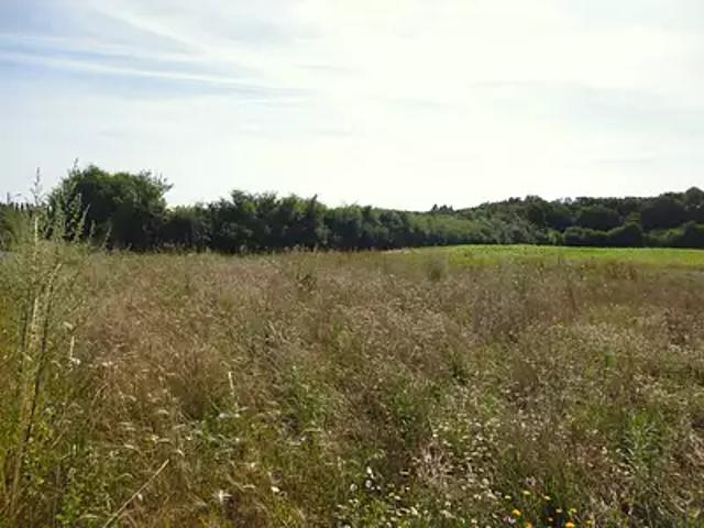 Terrain vente à Montargis, Saint-hilaire-sur-puiseaux