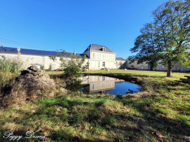 Château vente à Saint-jean-d'angély