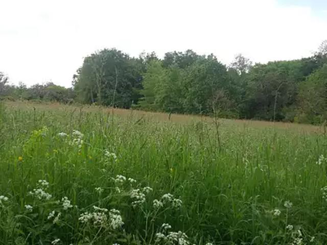 Terrain vente à Périgueux, Saint-jean-d'ataux