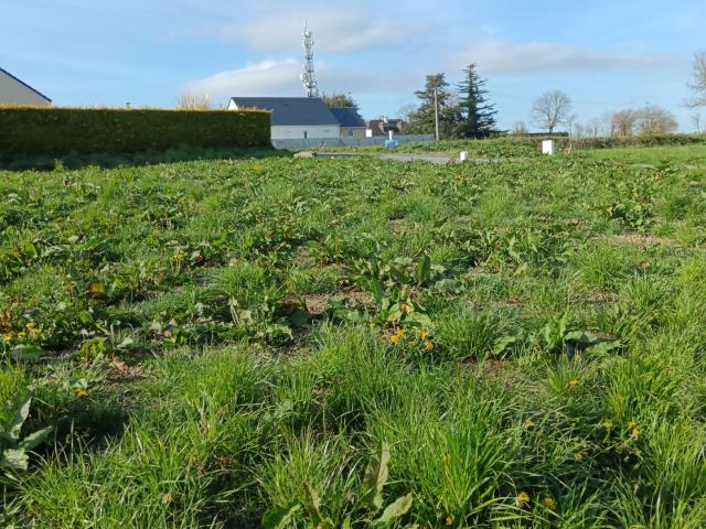 Terrain vente à Saint-Lô, Saint-jean-des-baisants