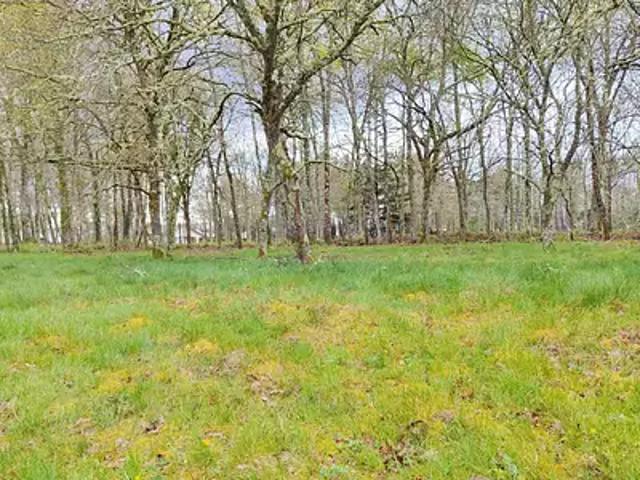 Terrain vente à Bordeaux, Saint-jean-d'illac