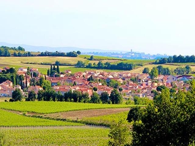 Terrain vente à Céret, Saint-jean-lasseille