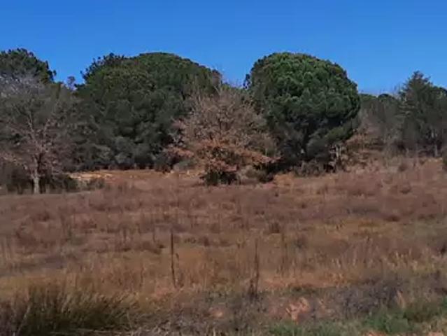 Terrain vente à Céret, Saint-jean-pla-de-corts