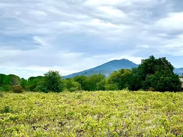 Terrain vente à Céret, Saint-jean-pla-de-corts
