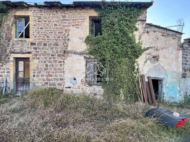 Maison vente à Roanne, Saint-jean-saint-maurice-sur-loire