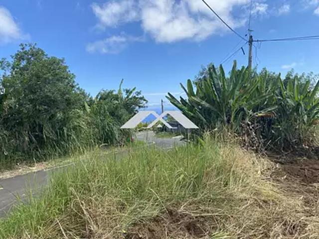 Terrain vente à La Réunion