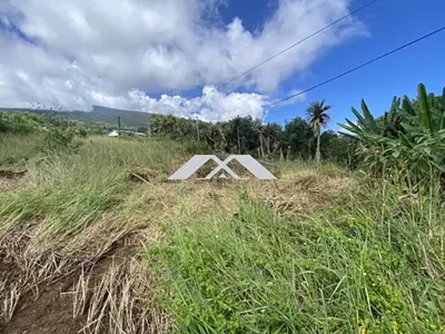Terrain vente à La Réunion