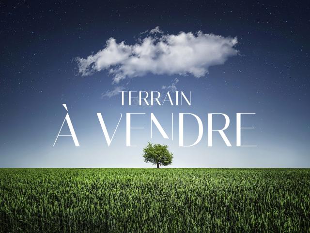 Terrain vente à La Réunion