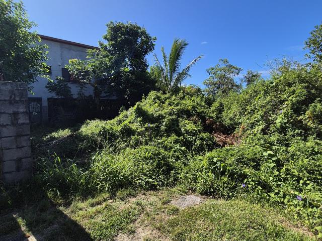 Terrain vente à La Réunion