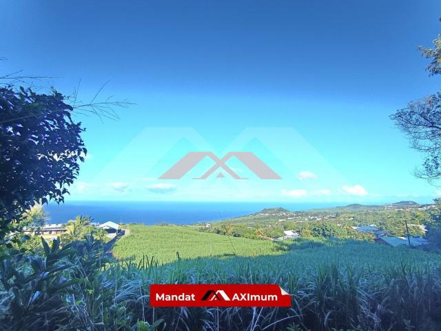 Terrain vente à La Réunion