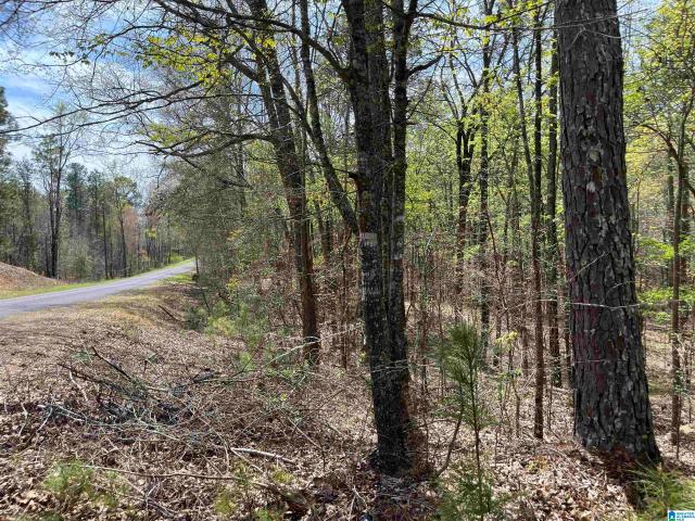 Land for sale in Talladega, Alabama