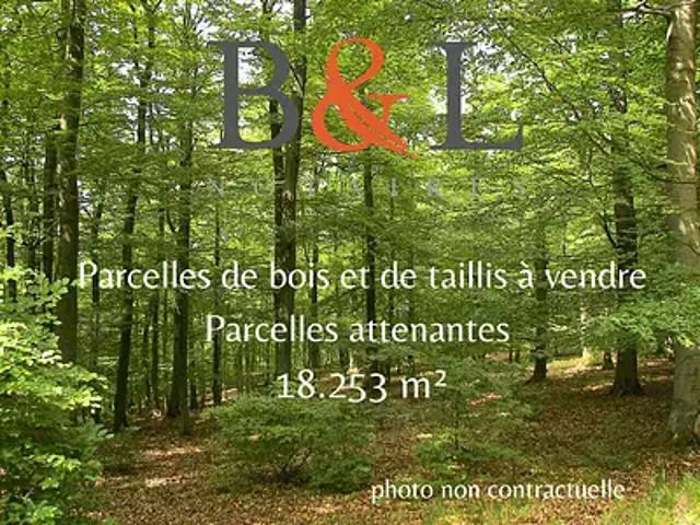 Terrain vente à Sens, Saint-julien-du-sault